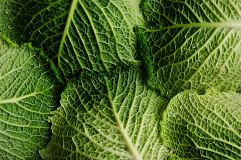 Daily greens offer numerous health benefits to balance your diet // learn more →